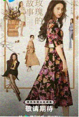她的第二次选择 女性成长剧在线观看海报